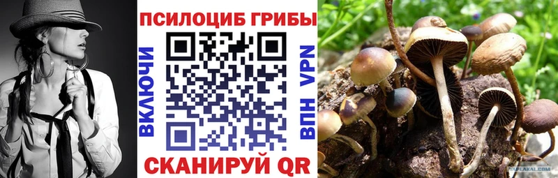 Галлюциногенные грибы ЛСД  Чудово 